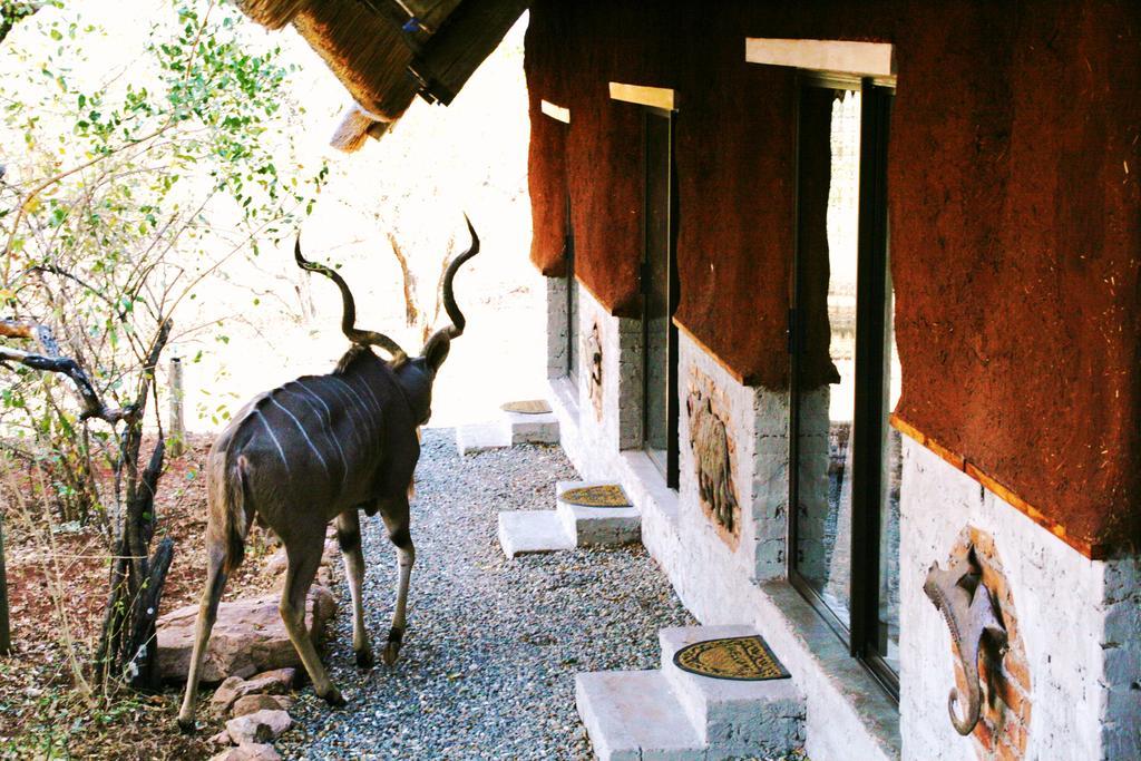 Green Kruger Lodge Komatipoort Extérieur photo